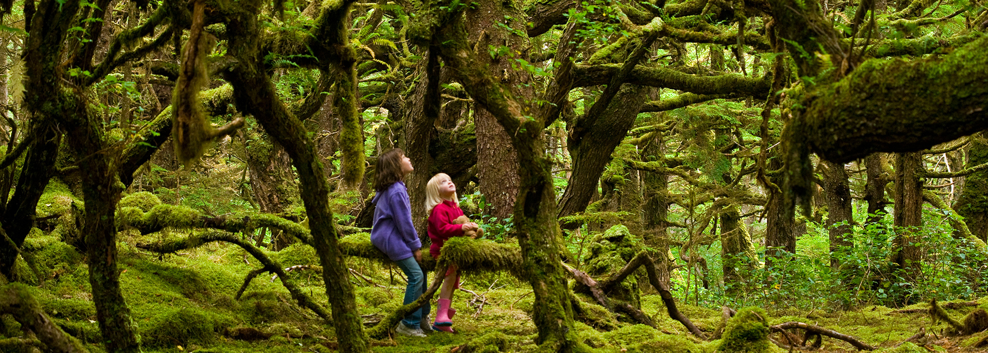 Reducing Paper Consumption | Environmental Paper Network